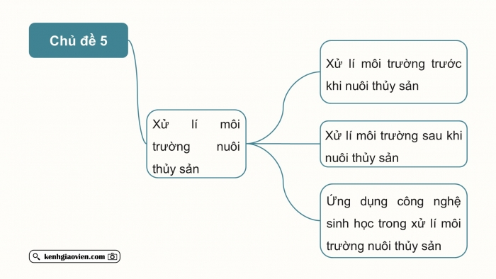 Giáo án điện tử Công nghệ 12 Lâm nghiệp Thủy sản Cánh diều Bài Ôn tập chủ đề 5