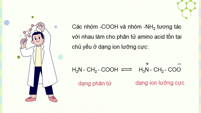 Giáo án điện tử Hóa học 12 cánh diều Bài 6: Amino acid