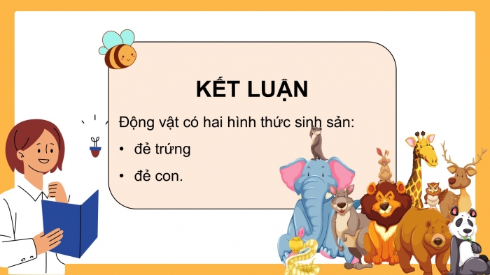 Giáo án điện tử Khoa học 5 chân trời Bài 15: Sự sinh sản của động vật