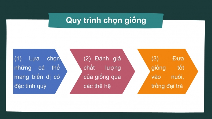 Giáo án điện tử Sinh học 12 chân trời Bài 12: Thành tựu chọn, tạo giống bằng phương pháp lai hữu tính