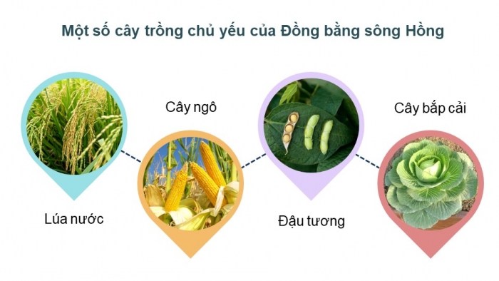 Giáo án điện tử chuyên đề Địa lí 12 kết nối CĐ 2: Phát triển vùng (P2)