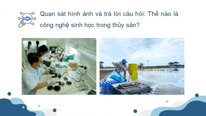 Giáo án điện tử chuyên đề Công nghệ 12 Lâm nghiệp Thuỷ sản Kết nối Bài 5: Vai trò và triển vọng của công nghệ sinh học trong thuỷ sản