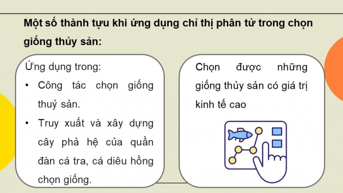 Giáo án điện tử chuyên đề Công nghệ 12 Lâm nghiệp Thuỷ sản Kết nối Bài 6: Một số ứng dụng công nghệ sinh học trong chọn, tạo giống thuỷ sản