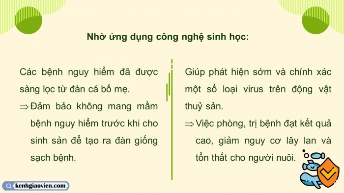 Giáo án điện tử chuyên đề Công nghệ 12 Lâm nghiệp Thuỷ sản Kết nối Bài 8: Ứng dụng công nghệ sinh học trong phòng, trị bệnh thuỷ sản