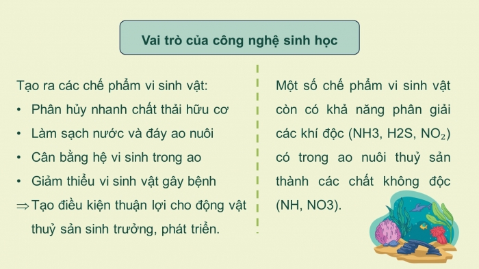 Giáo án điện tử chuyên đề Công nghệ 12 Lâm nghiệp Thuỷ sản Kết nối Bài 9: Ứng dụng công nghệ sinh học trong quản lí môi trường nước nuôi thuỷ sản