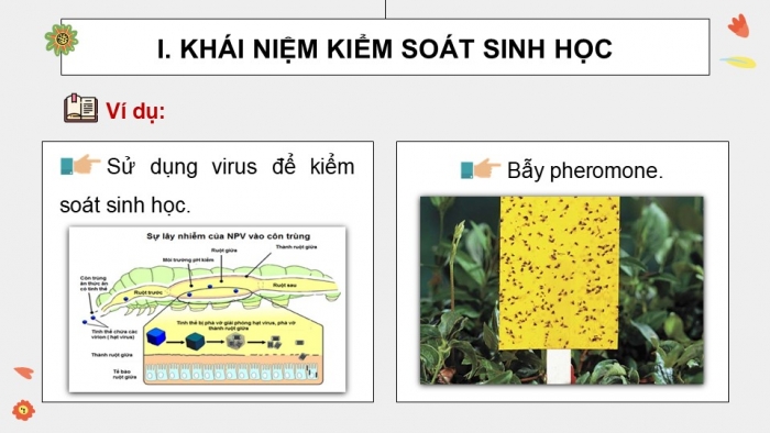 Giáo án điện tử chuyên đề Sinh học 12 cánh diều Bài 5: Khái niệm và vai trò của kiểm soát sinh học