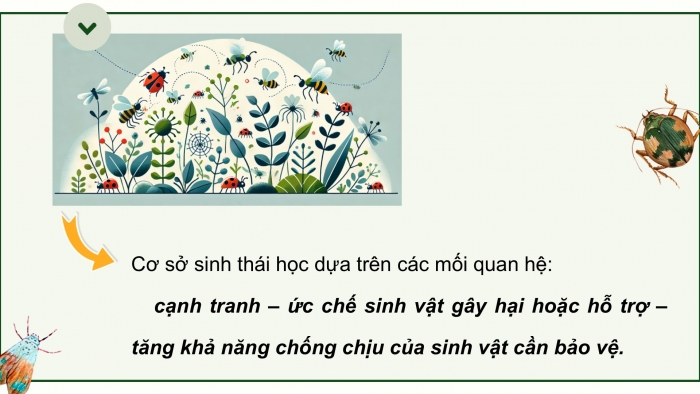 Giáo án điện tử chuyên đề Sinh học 12 cánh diều Bài 6: Cơ sở của kiểm soát sinh học