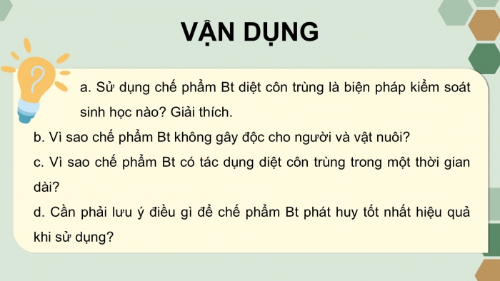 Giáo án điện tử chuyên đề Sinh học 12 cánh diều Ôn tập CĐ 2