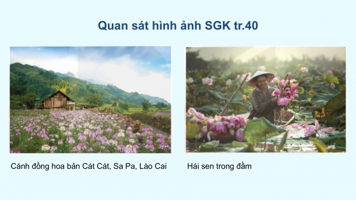 Giáo án điện tử Mĩ thuật 5 kết nối Chủ đề 6: Cảnh sắc quê hương