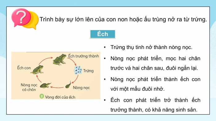 Giáo án điện tử Khoa học 5 chân trời Bài 16: Sự lớn lên và phát triển của động vật