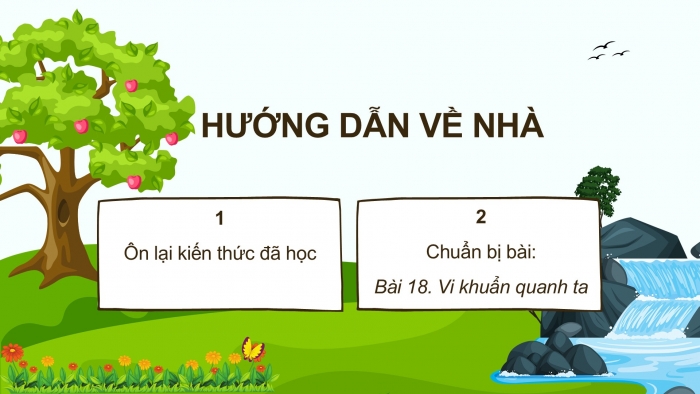 Giáo án điện tử Khoa học 5 chân trời Bài 17: Ôn tập chủ đề Thực vật và động vật