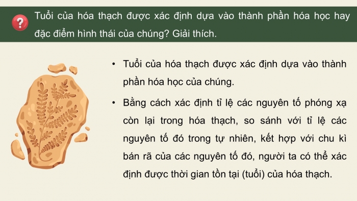 Giáo án điện tử Sinh học 12 kết nối Bài 19: Các bằng chứng tiến hoá