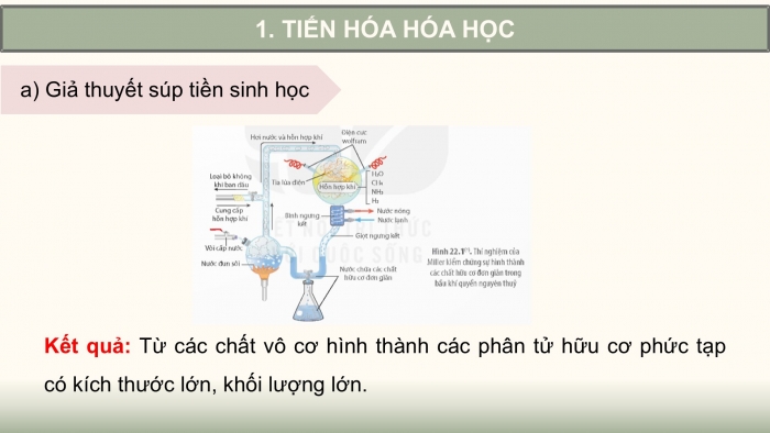 Giáo án điện tử Sinh học 12 kết nối Bài 22: Tiến hoá lớn và quá trình phát sinh chủng loại