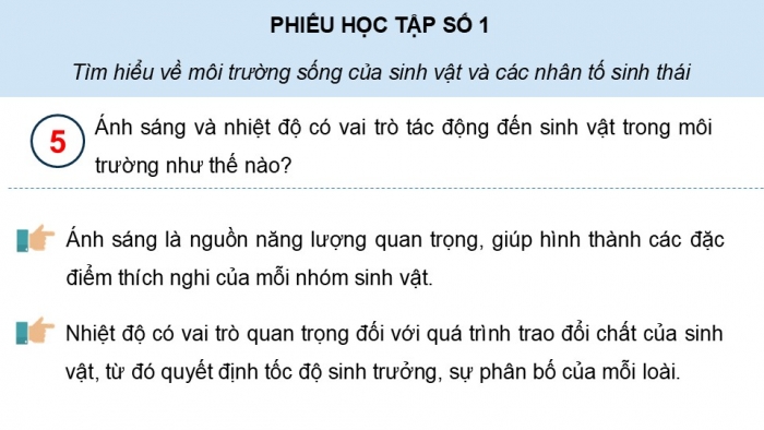 Giáo án điện tử Sinh học 12 kết nối Bài 23: Môi trường và các nhân tố sinh thái