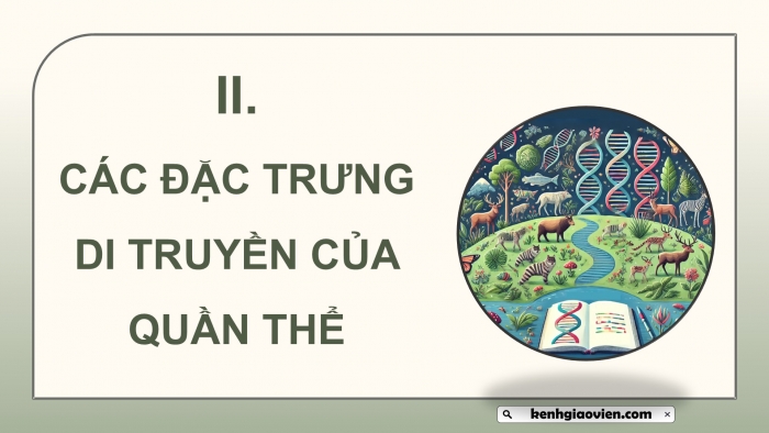 Giáo án điện tử Sinh học 12 chân trời Bài 13: Di truyền quần thể