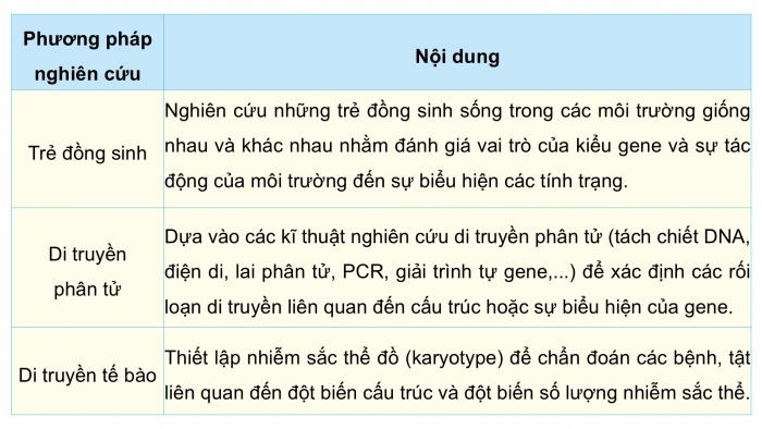 Giáo án điện tử Sinh học 12 chân trời Bài 14: Di truyền học người