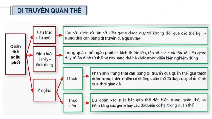 Giáo án điện tử Sinh học 12 chân trời Bài Ôn tập Chương 3