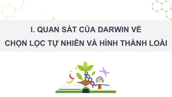 Giáo án điện tử Sinh học 12 chân trời Bài 16: Quan niệm của Darwin về chọn lọc tự nhiên và hình thành loài