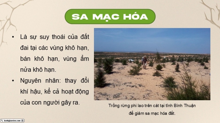 Giáo án điện tử Địa lí 9 cánh diều Bài 14: Thực hành Phân tích ảnh hưởng của nạn hạn hán và sa mạc hóa ở vùng khô hạn Ninh Thuận - Bình Thuận