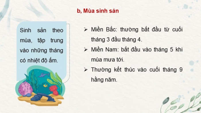 Giáo án điện tử Công nghệ 12 Lâm nghiệp Thủy sản Cánh diều Bài 15: Đặc điểm sinh sản và kĩ thuật ương cá, tôm giống