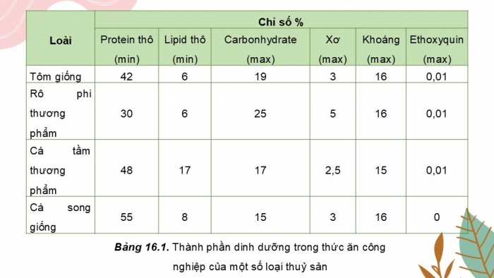 Giáo án điện tử Công nghệ 12 Lâm nghiệp Thủy sản Cánh diều Bài 16: Thành phần dinh dưỡng của thức ăn thủy sản