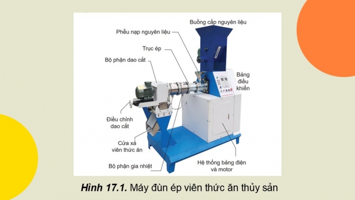 Giáo án điện tử Công nghệ 12 Lâm nghiệp Thủy sản Cánh diều Bài 17: Chế biến và bảo quản thức ăn thủy sản