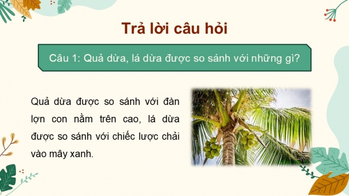 Giáo án điện tử Tiếng Việt 2 chân trời Bài 3: Đọc Cây dừa