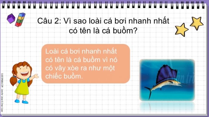 Giáo án điện tử Tiếng Việt 2 chân trời Bài 2: Đọc Bạn có biết?, Nghe – viết Cây nhút nhát, Phân biệt eo/oe, ch/tr, an/ang