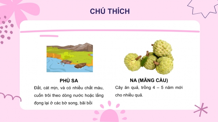 Giáo án điện tử Tiếng Việt 2 cánh diều Bài 13: Bà nội, bà ngoại