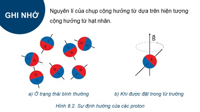 Giáo án điện tử chuyên đề Vật lí 12 kết nối Bài 8: Chụp cộng hưởng từ