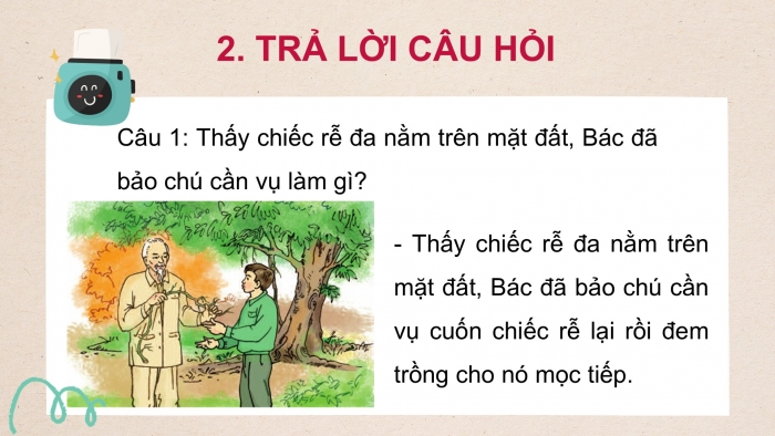 Giáo án điện tử Tiếng Việt 2 kết nối Bài 24: Chiếc rễ đa tròn