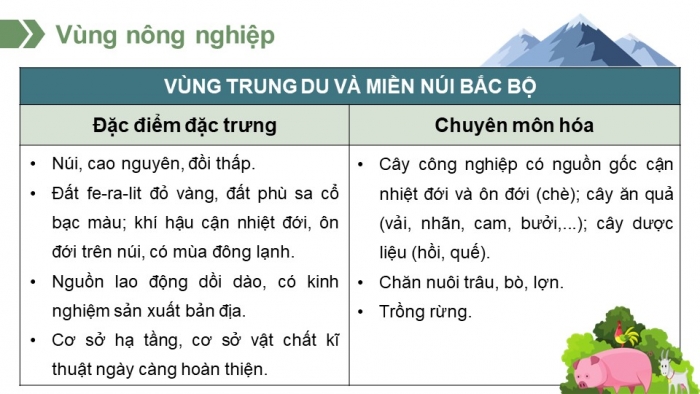 Giáo án điện tử chuyên đề Địa lí 12 cánh diều CĐ 2: Phát triển vùng (P3)