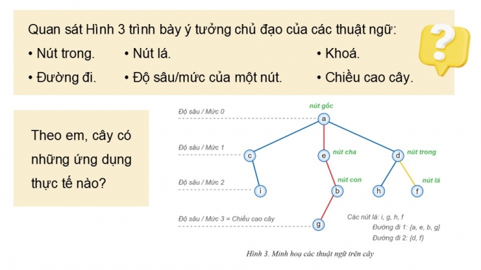 Giáo án điện tử chuyên đề Khoa học máy tính 12 cánh diều Bài 1: Giới thiệu cây nhị phân