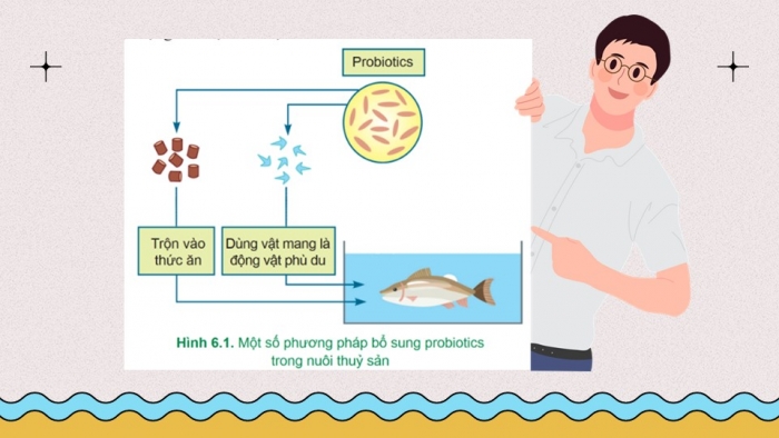 Giáo án điện tử chuyên đề Công nghệ 12 Lâm nghiệp Thuỷ sản Cánh diều Bài 6: Ứng dụng công nghệ sinh học trong sản xuất thức ăn thuỷ sản