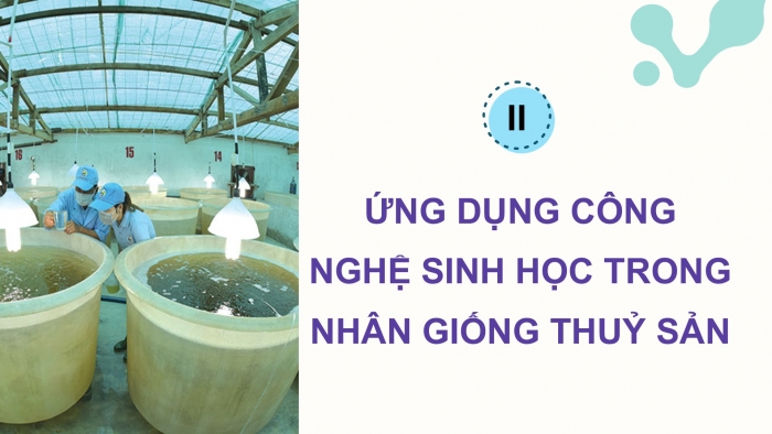 Giáo án điện tử Công nghệ 12 Lâm nghiệp - Thủy sản Kết nối Bài 15: Ứng dụng công nghệ sinh học trong chọn và nhân giống thủy sản