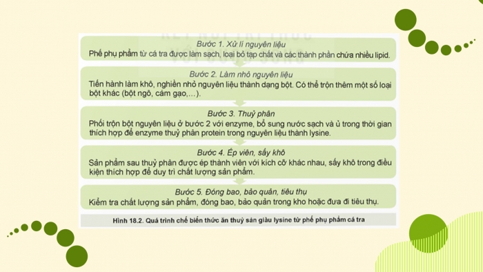 Giáo án điện tử Công nghệ 12 Lâm nghiệp - Thủy sản Kết nối Bài 18: Ứng dụng công nghệ sinh học trong bảo quản, chế biến thức ăn thủy sản