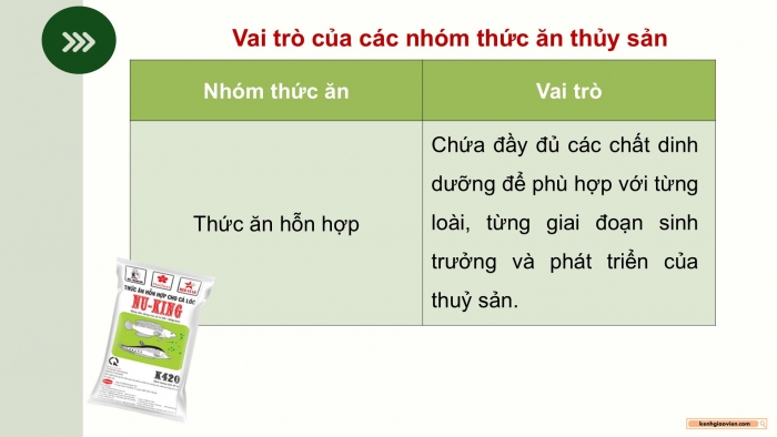 Giáo án điện tử Công nghệ 12 Lâm nghiệp - Thủy sản Kết nối Bài ôn tập chương VII