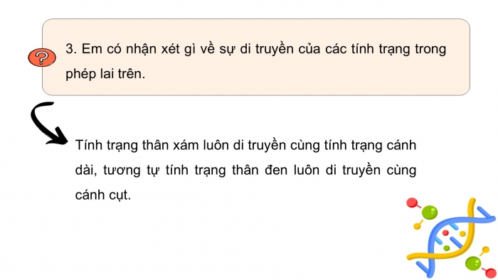 Giáo án điện tử KHTN 9 kết nối - Phân môn Sinh học Bài 45: Di truyền liên kết