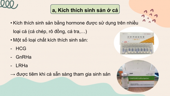 Giáo án điện tử chuyên đề Công nghệ 12 Lâm nghiệp Thuỷ sản Cánh diều Bài 5: Ứng dụng công nghệ sinh học trong sinh sản và chọn, tạo giống thuỷ sản