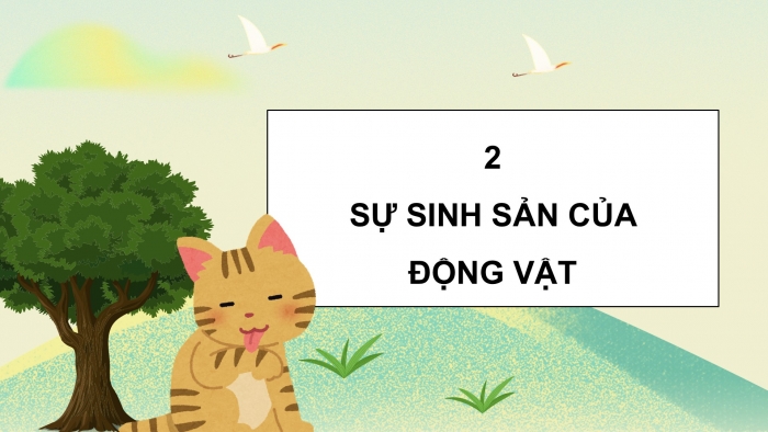 Giáo án điện tử Khoa học 5 kết nối Bài 15: Sinh sản của động vật