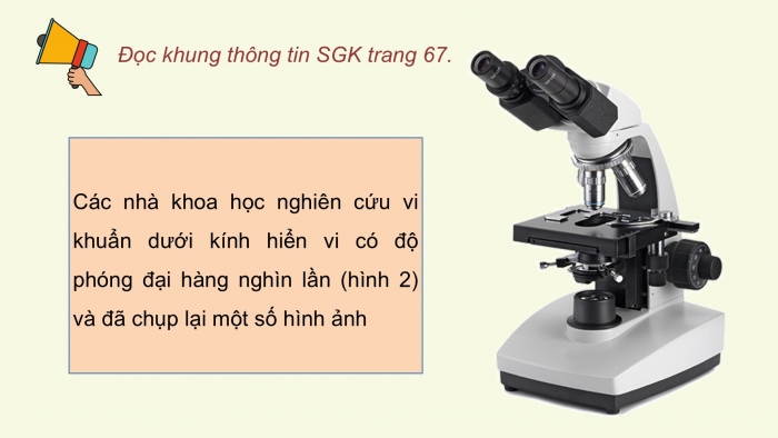 Giáo án điện tử Khoa học 5 kết nối Bài 18: Vi khuẩn xung quanh chúng ta