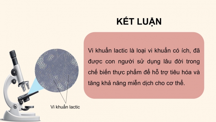 Giáo án điện tử Khoa học 5 kết nối Bài 19: Vi khuẩn có ích trong chế biến thực phẩm