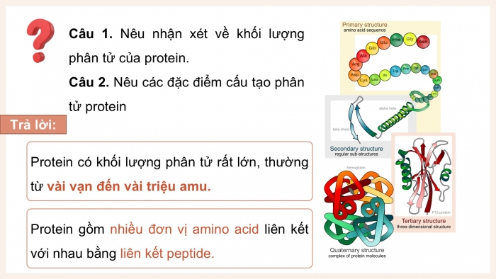 Giáo án điện tử KHTN 9 cánh diều - Phân môn Hoá học Bài 28: Protein