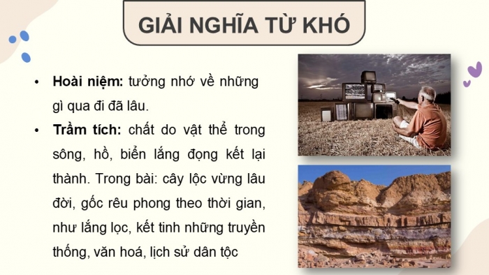 Giáo án điện tử Tiếng Việt 5 chân trời Bài 7: Lộc vừng mùa xuân