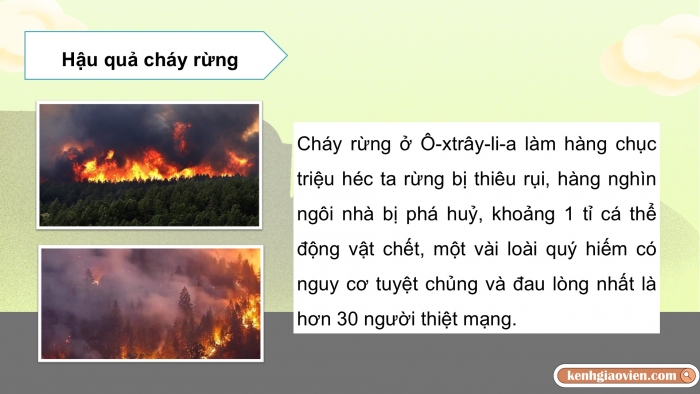 Giáo án điện tử Đạo đức 5 chân trời Bài 7: Môi trường sống quanh em