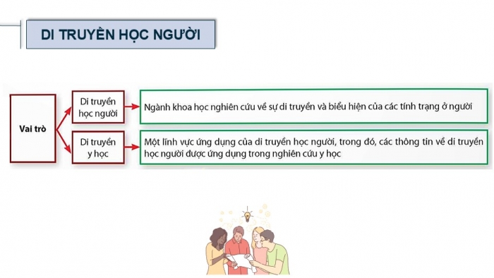 Giáo án điện tử Sinh học 12 chân trời Bài Ôn tập Chương 3