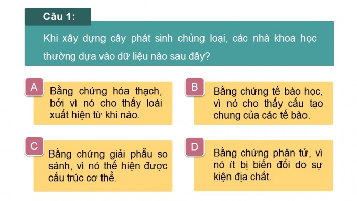 Giáo án điện tử Sinh học 12 chân trời Bài Ôn tập Chương 4