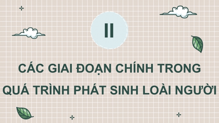 Giáo án điện tử Sinh học 12 chân trời Bài 19: Sự phát triển sự sống