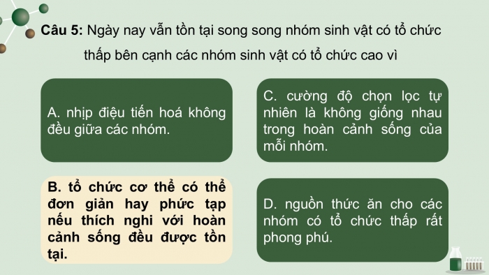 Giáo án điện tử Sinh học 12 chân trời Bài Ôn tập Chương 5