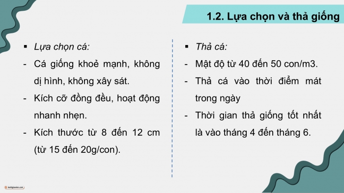 Giáo án điện tử Công nghệ 12 Lâm nghiệp Thủy sản Cánh diều Bài 18: Kĩ thuật nuôi một số loài thủy sản phổ biến